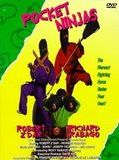 Affiche de Pocket Ninjas, film à voir en streaming sur Pygargue