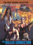 Affiche de The Dallas Connection, film à voir en streaming sur Pygargue