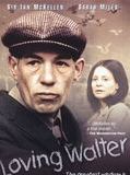 Affiche de Walter and June, film à voir en streaming sur Pygargue
