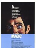 Affiche de Magic, film à voir en streaming sur Pygargue