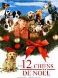 Affiche de 12 chiens pour Noël (TV), film à voir en streaming sur Pygargue