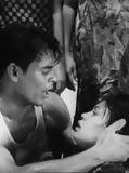 Affiche de Amour et affection, film à voir en streaming sur Pygargue