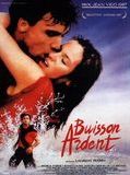 Affiche de Buisson ardent, film à voir en streaming sur Pygargue