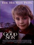 Affiche de Le Bon fils, film à voir en streaming sur Pygargue