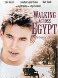 Affiche de Walking Across Egypt, film à voir en streaming sur Pygargue