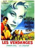 Affiche de Les Vendanges, film à voir en streaming sur Pygargue