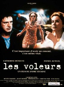 Affiche de Les voleurs, film à voir en streaming sur Pygargue