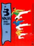 Affiche de Les 3 ninjas contre-attaquent, film à voir en streaming sur Pygargue