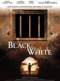Affiche de Black and white, film à voir en streaming sur Pygargue
