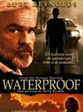Affiche de Waterproof, film à voir en streaming sur Pygargue