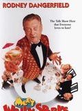 Affiche de Meet Wally Sparks, film à voir en streaming sur Pygargue