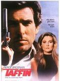 Affiche de Taffin, film à voir en streaming sur Pygargue