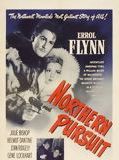 Affiche de Du sang sur la neige, film à voir en streaming sur Pygargue