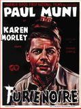 Affiche de Furie noire, film à voir en streaming sur Pygargue