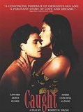 Affiche de Caught, film à voir en streaming sur Pygargue