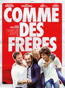 Affiche de Comme des frères, film à voir en streaming sur Pygargue
