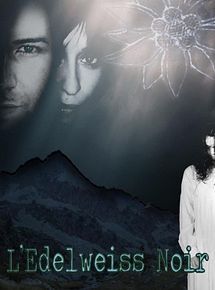 Affiche de L'Edelweiss noir, film à voir en streaming sur Pygargue