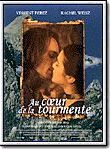 Affiche de Au coeur de la tourmente, film à voir en streaming sur Pygargue