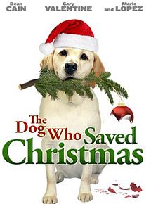 Affiche de Le sauveur de Noël, film à voir en streaming sur Pygargue
