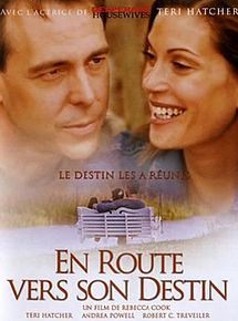 Affiche de En route vers son destin, film à voir en streaming sur Pygargue