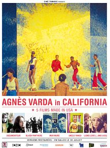 Affiche de Documenteur, film à voir en streaming sur Pygargue