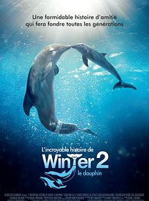 Affiche de L'Incroyable Histoire de Winter le dauphin 2, film à voir en streaming sur Pygargue