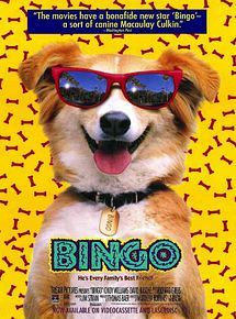 Affiche de Bingo, film à voir en streaming sur Pygargue