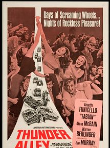 Affiche de Thunder Alley, film à voir en streaming sur Pygargue