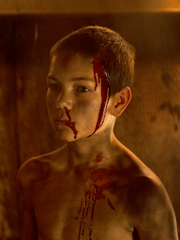 Affiche de Cub, film à voir en streaming sur Pygargue