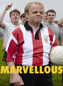 Affiche de Marvellous, film à voir en streaming sur Pygargue
