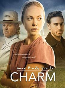 Affiche de Love Finds You In Charm, film à voir en streaming sur Pygargue