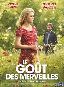 Affiche de Le goût des merveilles, film à voir en streaming sur Pygargue