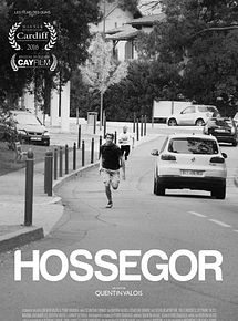 Affiche de Hossegor, film à voir en streaming sur Pygargue