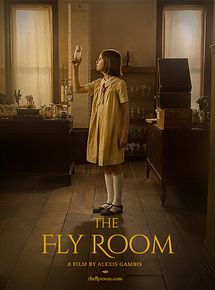 Affiche de The Fly Room, film à voir en streaming sur Pygargue