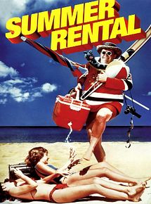 Affiche de Délires au soleil, film à voir en streaming sur Pygargue