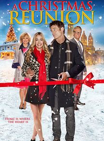 Affiche de Un Duo d'enfer pour Noël, film à voir en streaming sur Pygargue