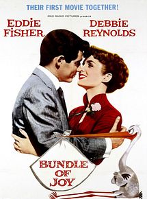 Affiche de Bundle of Joy, film à voir en streaming sur Pygargue