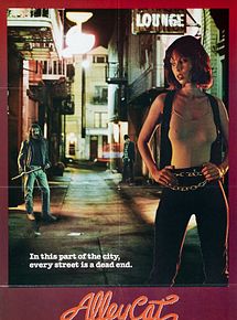 Affiche de Alley Cat, film à voir en streaming sur Pygargue