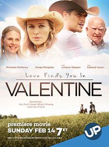 Affiche de Trouver l'amour à Valentine, film à voir en streaming sur Pygargue