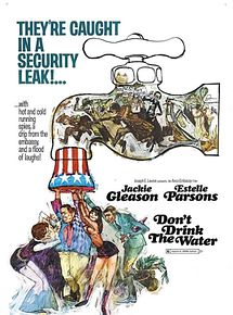 Affiche de Don't drink the water, film à voir en streaming sur Pygargue
