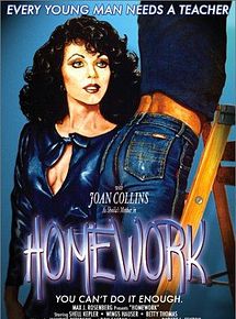 Affiche de Homework, film à voir en streaming sur Pygargue
