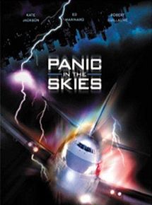 Affiche de Panique en plein ciel, film à voir en streaming sur Pygargue