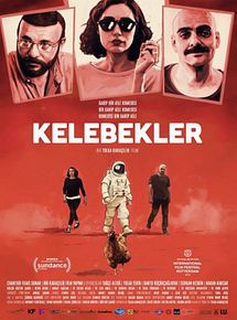 Affiche de Papillons, film à voir en streaming sur Pygargue