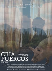 Affiche de Cría puercos, film à voir en streaming sur Pygargue