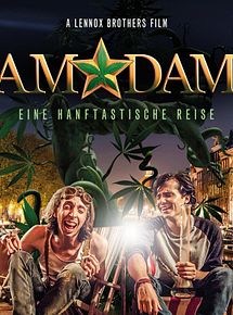 Affiche de AmStarDam, film à voir en streaming sur Pygargue