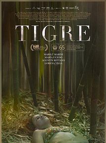 Affiche de Tigre, film à voir en streaming sur Pygargue