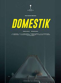 Affiche de Domestique, film à voir en streaming sur Pygargue