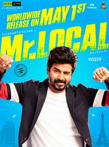 Affiche de Mr. Local, film à voir en streaming sur Pygargue