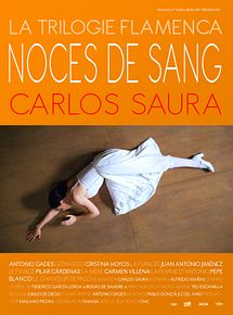 Affiche de Noces de sang, film à voir en streaming sur Pygargue