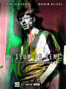 Affiche de Le Seum du sens, film à voir en streaming sur Pygargue